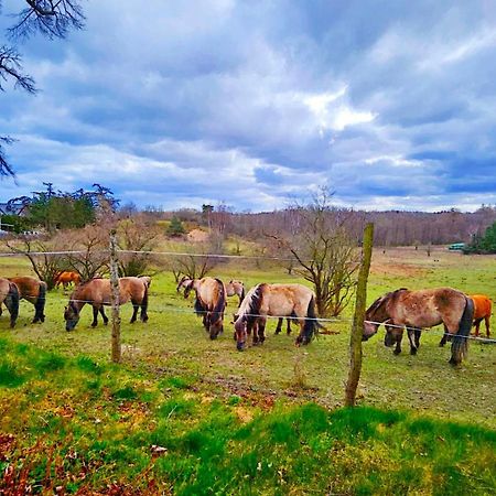Nadmorska Osada Villa Oslonino Dış mekan fotoğraf