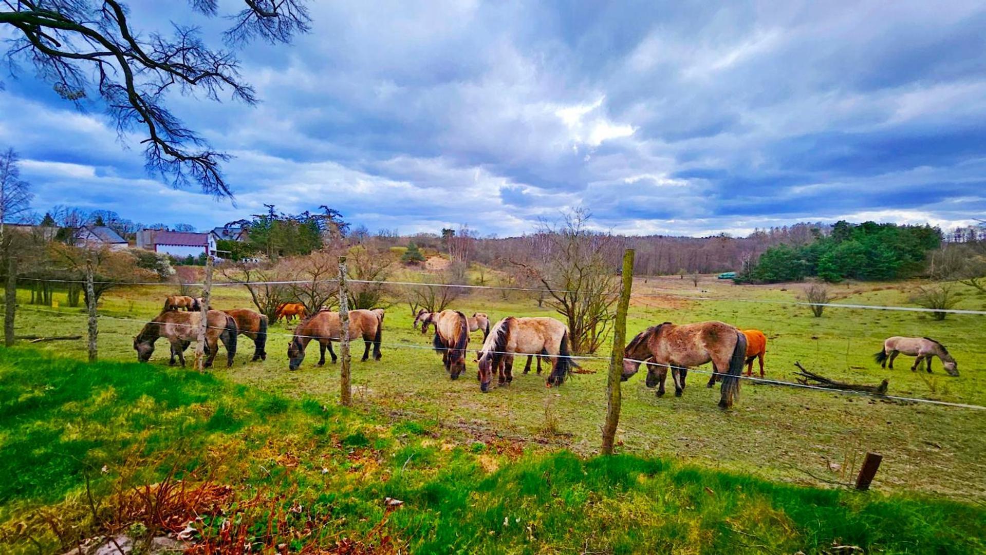 Nadmorska Osada Villa Oslonino Dış mekan fotoğraf